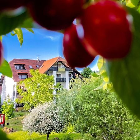 Gasthaus Hirschenstube & Gaestehaus Gehri Вальдкирх Экстерьер фото