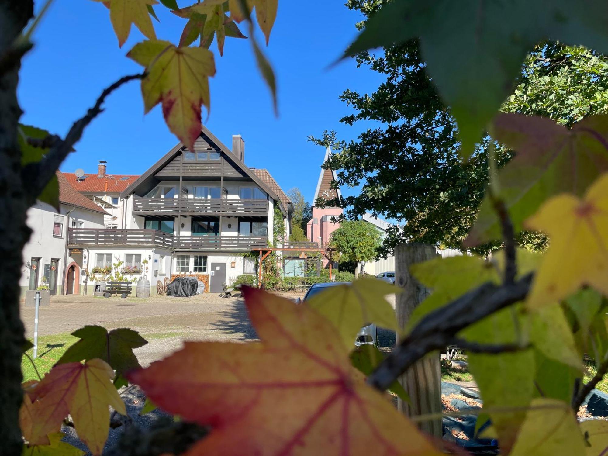 Gasthaus Hirschenstube & Gaestehaus Gehri Вальдкирх Экстерьер фото