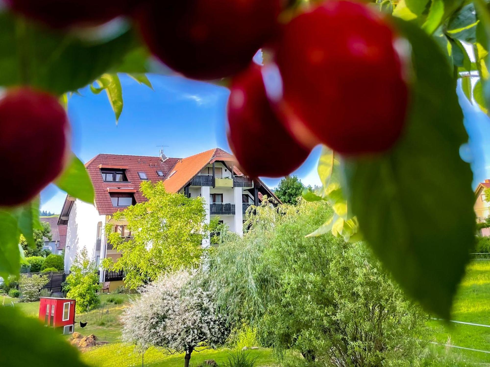 Gasthaus Hirschenstube & Gaestehaus Gehri Вальдкирх Экстерьер фото